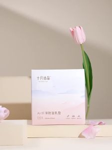 SHI YUE JIE JING | Thin Disposable Breast Pads 100 Pieces