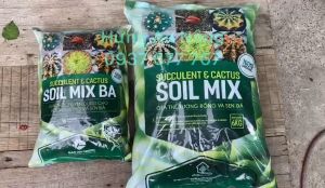 Soil mix BA túi 2.5kg/6kg - đất trộn hữu cơ chuyên trồng sen đá xương rồng