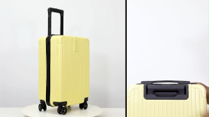 20-inch Large Capacity Student Travel Luggage Box High Quality Multiple Colors
