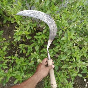 sabit rumput full baja isen super tajam