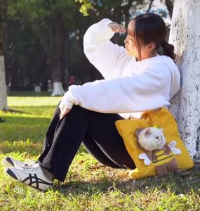 TÚI VẬN CHUYỂN THÚ CƯNG CHÓ MÈO ĐI DẠO