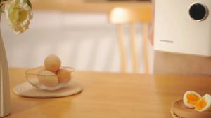 Multifunction Egg Boiler Automatic Power off Egg Steamer Ceramic Stew Pot Telur Kukus多功能蒸蛋器陶瓷炖盅