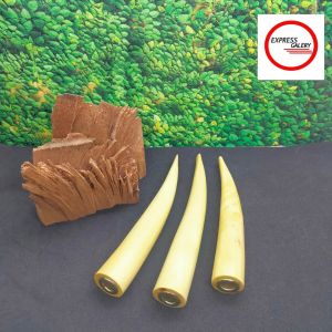 once pipa padutan kayu kemuning Gading model bulat a213