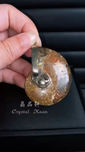 [现货] 斑彩螺吊坠｜远古能量 × 招财转运 × 吉祥守护｜Ammolite Fossil Pendant｜Ancient Energy • Wealth • Protection