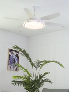 NASA Ceiling Fan with Light 52” DC motor 6 Speed Wind Remote Control 6 Blades Multi-color Light Stepless Dimming Ceiling Fan Light Kipas Siling Kipas Syiling