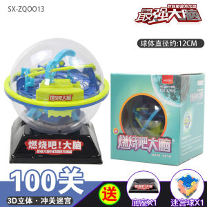 3D Maze Ball Toy for Boys And Girls Intelligence Training Concentration Improvement Brain Teaser Game Plastic Maze Puzzle