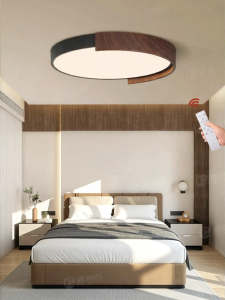 PAIMIJI | Eye-protection Full Spectrum Simple Modern Ceiling Light