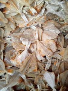 IKAN ASIN KAPASAN TAWAR