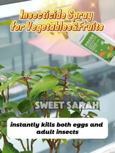 HaiBUS Insecticidal Emulsion 500ml Plant-Safe Pest Spray Kills Red Spider Mites and Whiteflies Harmless to Flowers