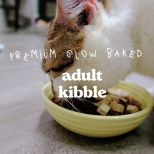babyKET Slow-Baked Adult Cat Kibble 1kg | Dry Food | Grain-Free | High Protein