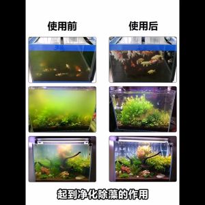 New Type Aquarium UV Light with Cover Barrier and Timer control UV Sterilizer Aquarium for Fishtank Algae Remover Aquarium Lamp waterproof UV Light Timer Switch control UV Sterilizer Light shade Cover to Protect Fishes Disinfect
