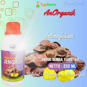 Pupuk Pembesar Buah Jengkol: Solusi Mutakhir Untuk Meningkatkan Hasil Panen