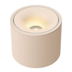 FANYAO | Ceiling Mounted LED Light No Drilling Latex Paint Color Vintage Style