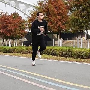 Lightweight New Autumn Breathable Mesh Non-carbon Plate Running Shoes