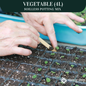VEGETABLE SOILLESS POTTING MIX (4L) | Premium READY TO USE Planting Medium for Herbs Leafy Greens Tomatoes Peppers and Edible Crops | Fast Draining Soil Alternative with Excellent Aeration Moisture Retention & Nutrient Support for Healthy Growth