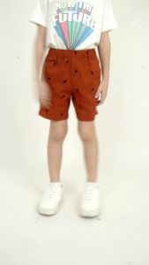 Forest Kids Boys Woven Full Print Cotton Twill Casual Shorts | Seluar Pendek Budak Lelaki - FK65045