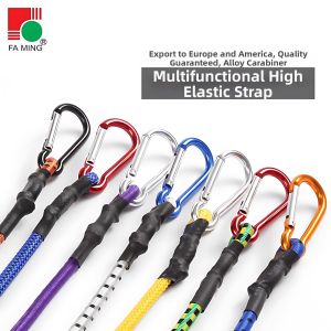 Huayu | Elastic Rubber Cargo Tie Down Strap With Carabiner