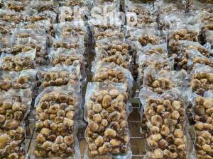 เห็ดเผาะหนัง คัดอ่อนๆ 90% ขนาด 1 กิโล