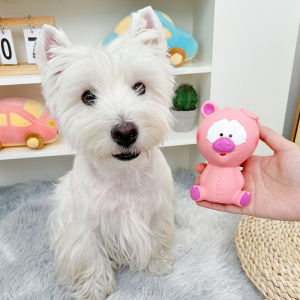 Dog Toy Sound Making Bichon Puppy Chew Proof Teeth Grinding Oral Care Small Dog Self Entertaining Noise Maker Teddy Pet