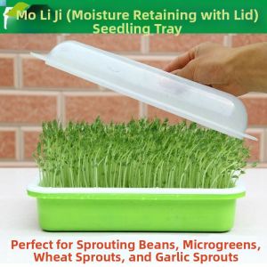 MOMIAN | Seed Sprouting Tool for Home Use