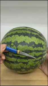 HARGA PROMO!!! 1 SET PISAU GARNIS ISI 8 PISAU + PISAU BUNTUNG UNTUK UKIR PAPAYA