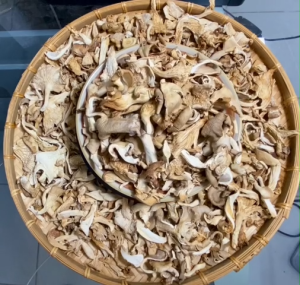 Nấm Bào Ngư Khô Xám Dai Ngon Giòn  Loại 1 200gr (giao 2h tphcm)