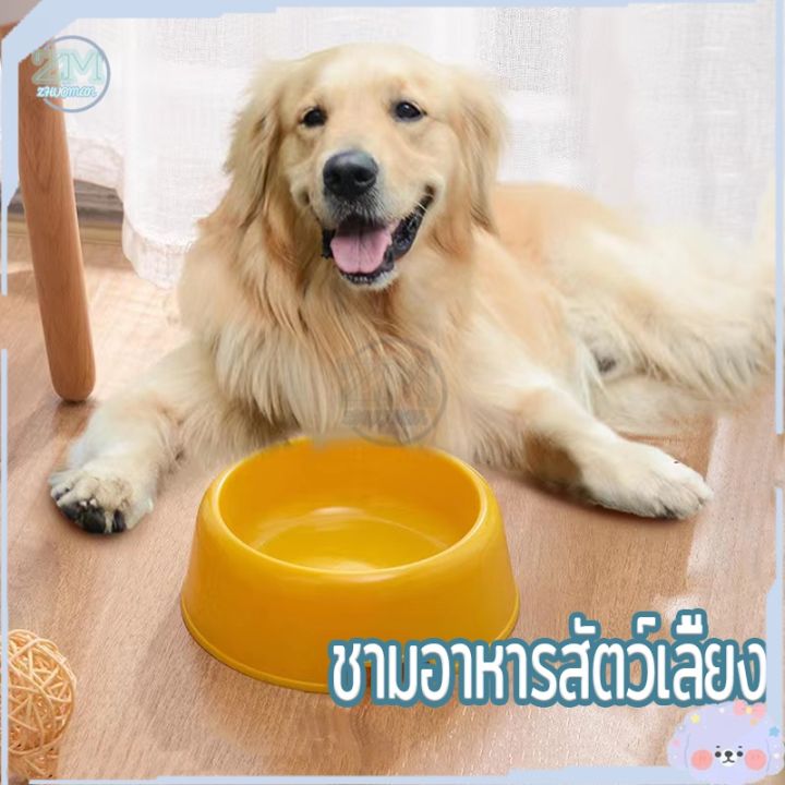 ชามอาหารสัตว์เลี้ยงเดี่ยว กันมด