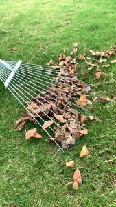 คราดหญ้า คราดถากหญ้า15ฟัน คราดเหล็ก ปรับระดับ คราดเหล็กปรับระดับ คราดกวาดขยะ มือเสือ กวาดใบไม้ พร้อมด้าม ผลิตจากสเตนเลสสตีลคุณภาพสูง แข็งแรง 76-166.5cm