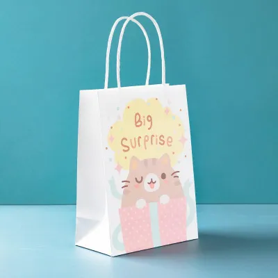 10 Pack Cute Clear Gift Bags Birthday Present Snacks Handheld Gift Bags Paper Bags for Storage Organization Small Size