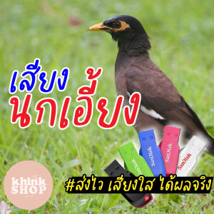เสียงต่อนกเอี้ยง เมมเสียงนกเอี้ยง แฟลชไดร์ฟเสียงต่อนกเอี้ยง เสียงนกเอี้ยง มีเก็บเงินปลายทาง