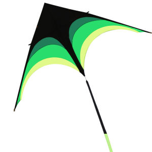 SPACECYCLE | Adult Professional Easy to Fly Super Large Kite