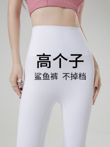High Waist Lengthened Version White Shark Yoga Pants Womens Summer Thin Belly Control Seamless Yoga Trousers for plus Size