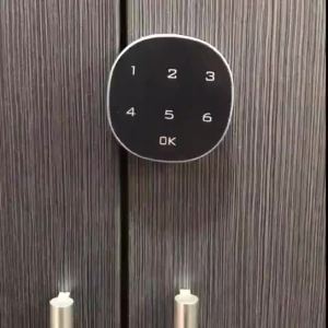Multifunctional Electronic Code Cabinet Lock