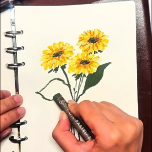 Set pastel minyak lembut 12/24/36/48 warna ringan dan segar transparan dan tidak beracun cocok untuk pemula