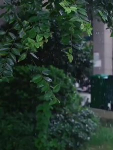 Bọc Giày Đi Mưa Cao Cấp Hai Hàng Nút – Giữ Giày Khô Sạch Chống Nước Gấp Gọn Dễ Mang Thời Trang