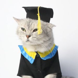 Baju Kucing Anjing Cewek Cowo Lucu Murah Gratis Ongkir 3 pcs 5 Ribu - Bukipet Graduation Shirt