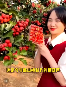 冰糖葫芦 山楂球 糖葫蘆零食 山楂零食  老北京口味休闲小零食 Candied Haws Hawthorn Balls Candied Haws Snacks Hawthorn Snacks