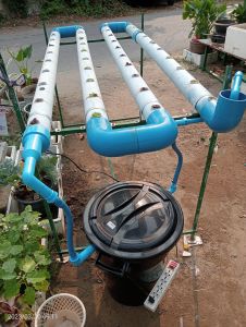 ชุดปลูกผักไฮโดรโปนิกส์ 40 หลุม