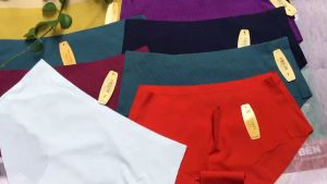 5 Quần Sịp Lót Nữ Cao Cấp Su Đúc Lưng Cao 55kg Đến 65kg Không Đường May Mềm Mịn Mát MarketOnline 1905