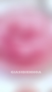 Bộ Dụng Cụ Làm Thạch Rau Câu 3D 10 Món