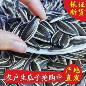 Original Roasted Sunflower Seeds