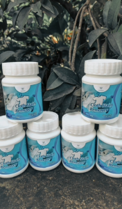 Wiselie Ekstra Bersih Pembersih Noda Baju Kain Sarung Bantal Mencerahkan Pakaian Membersihkan Hingga Ke Serat Kain Fast Clean Fresh