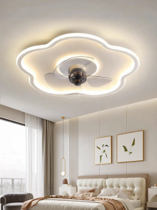 Smile | Modern Simple Style Integrated LED Fan Light