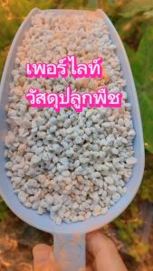 เพอร์ไลท์ 12 ลิตร