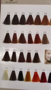 Thuốc Nhuộm Tóc BLOSOMK 3D COLOR  Nội Địa Trung | Made in China | 100ml