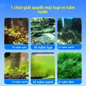 MONLEYTA | Màng bì tách màu xanh lá cây nấm lùn nấm lùn xanh lá cây không hại cá loại bỏ rêu viên nén dùng cho bể cá