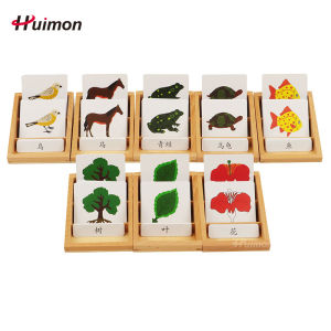 Montessori Montessori Education Class Educational Toys Early Education Teaching Tools Three-Card PVC Educational Toys for Children