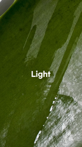 BENTON Aloe BHA Skin Toner 200ml | 30ml