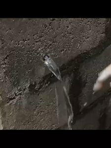 ซื้อ3แถม1 กันน้ำรั่วซึม 100 ปีรับประกันปูนสำเร็จรูป 1KG ซ่อมรอยแตก ปูนกาวซีเมนต์ หยุดน้ำรั่ว แห้งเร็ว ปูนซีเมนต์ ป้องกันน้ำซึม ซ่อมรอยร้าว ปูนกันรั่วซึม ความแข็งแรงสูง ป้องกันการแตกร้าว ปูนกาวปูพื้น ห้องน้ำ/ท่อระบายน้ำดิน/ผนังภายนอก/สระว่ายน้ำ ฯลฯ