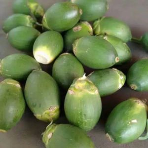 Buah Pinang Buah Jambe Muda Segar 1kg